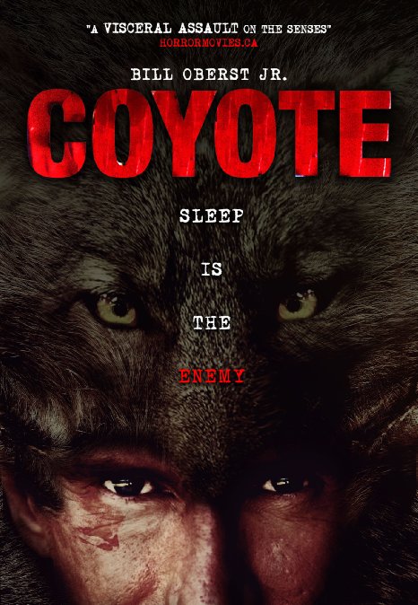 Coyotes