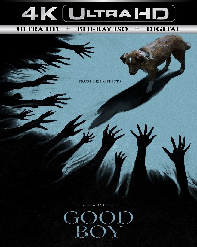 Good Boy