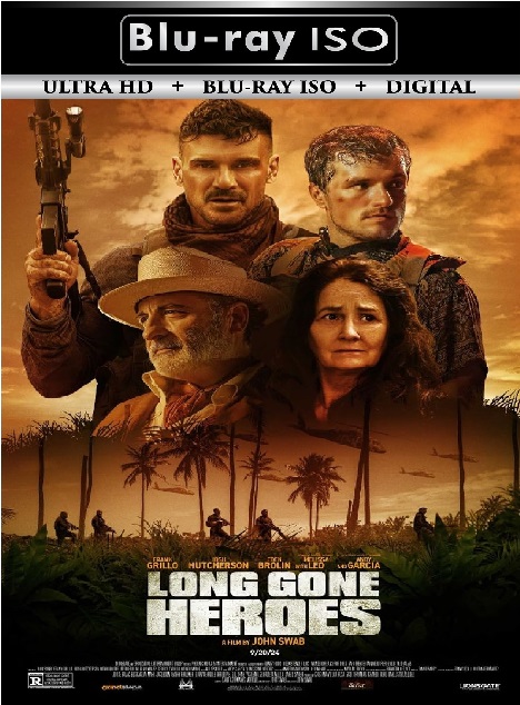 Long Gone Heroes