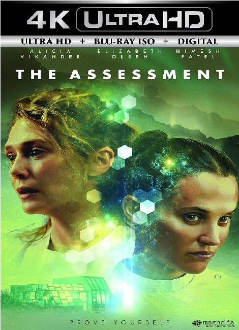 The Assessment