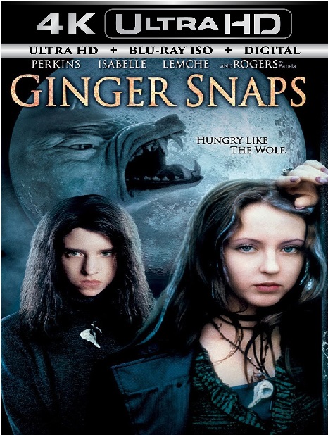 Ginger Snaps